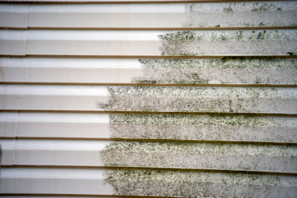 Best Fascia and Soffit Installation  in Covelo, CA