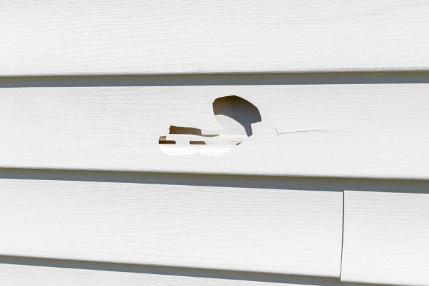 Best Steel Siding Installation  in Covelo, CA